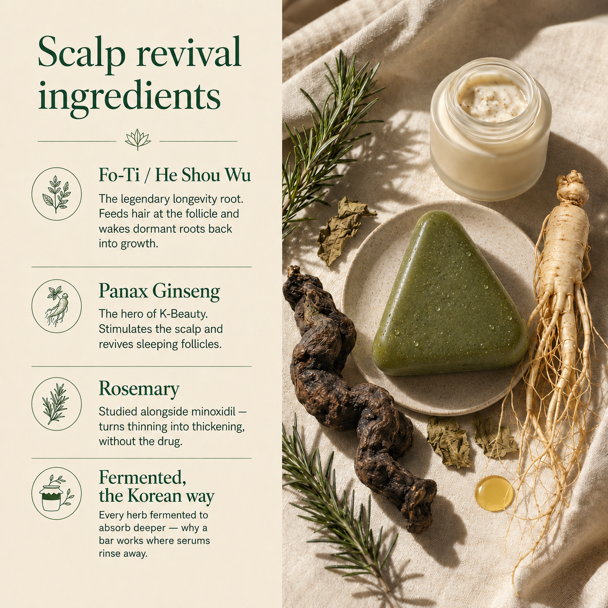 Korean Scalp Renewal Bar